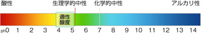 酸性とアルカリ性の基準になる中性点はpH5.0前後